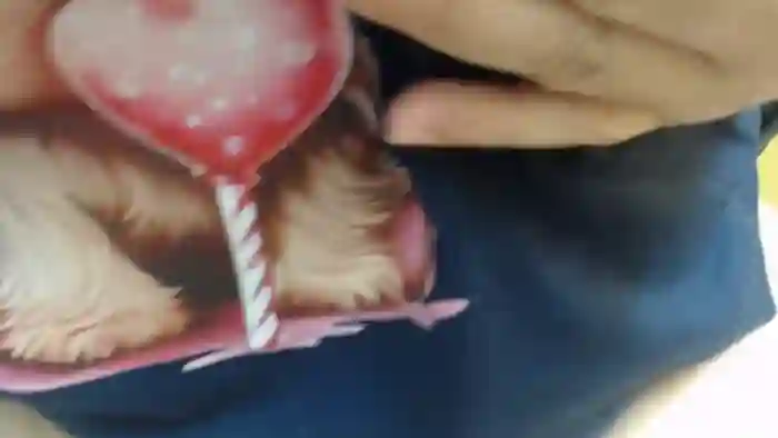 sweetangela_