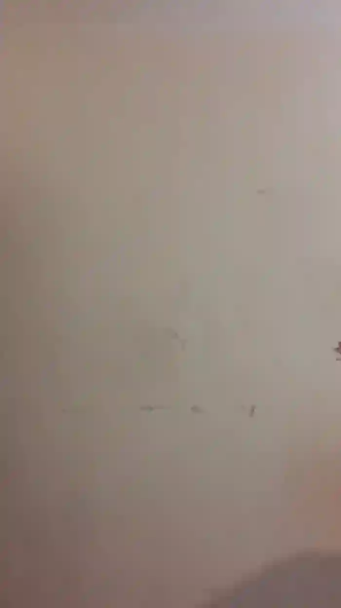 Zarcera69
