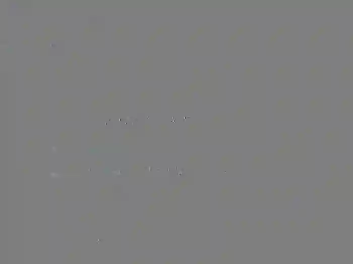 Alexandra_55