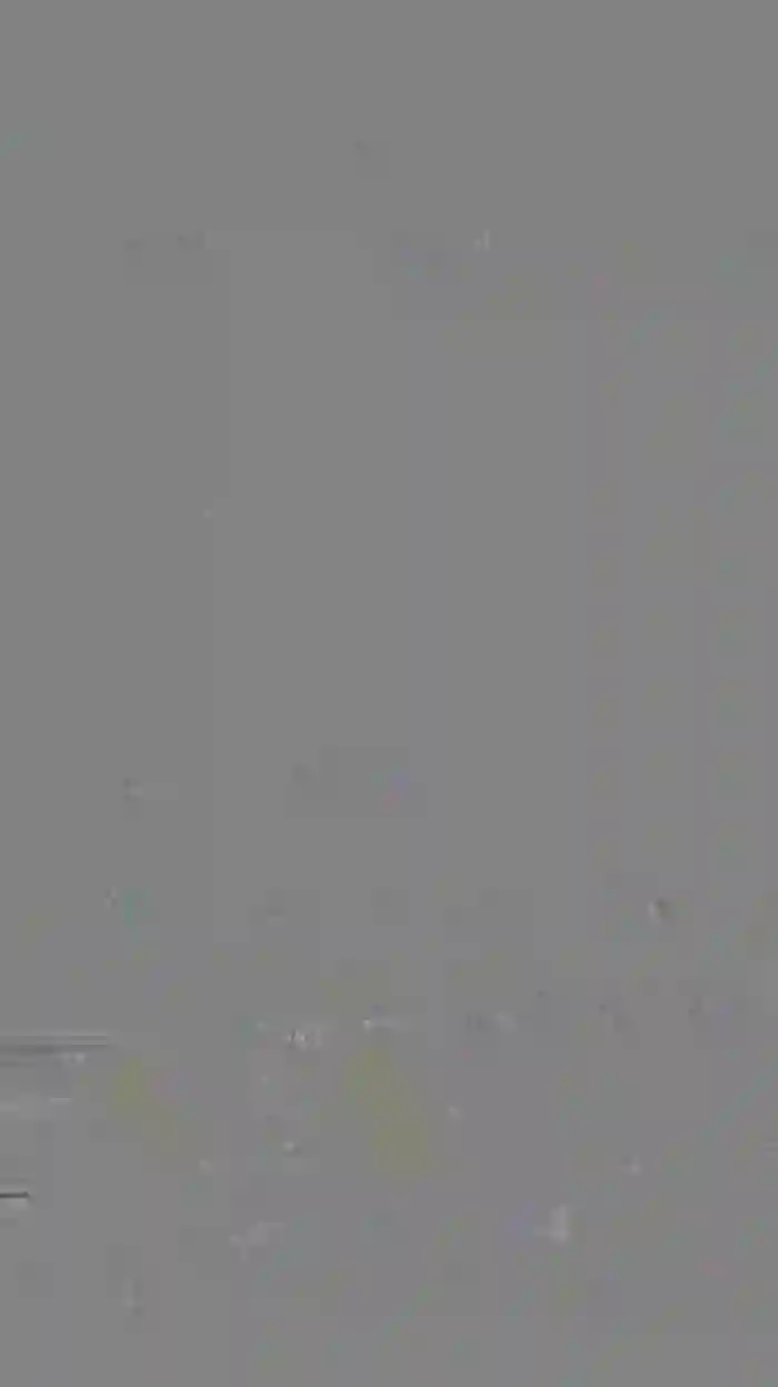 Lindsaysummer_