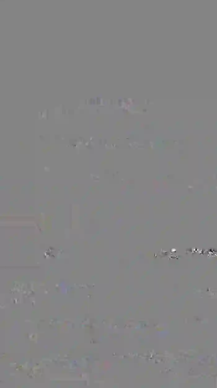 emilysamantha8