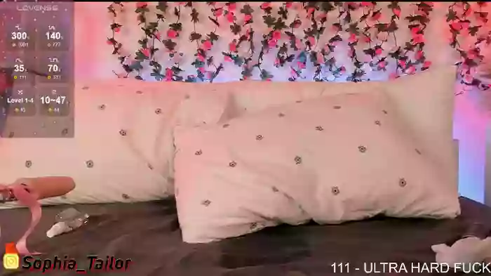 SofaTailor