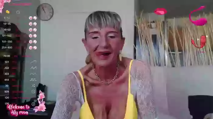 LISACAM2CAM