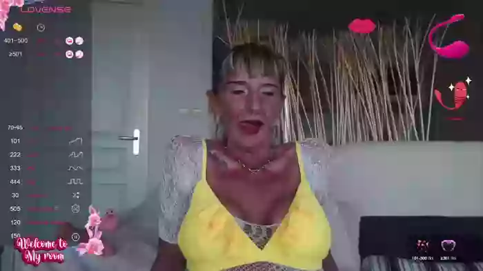 LISACAM2CAM