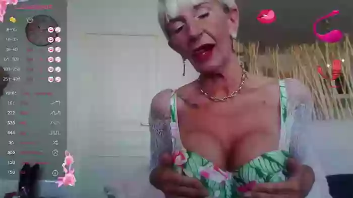 LISACAM2CAM