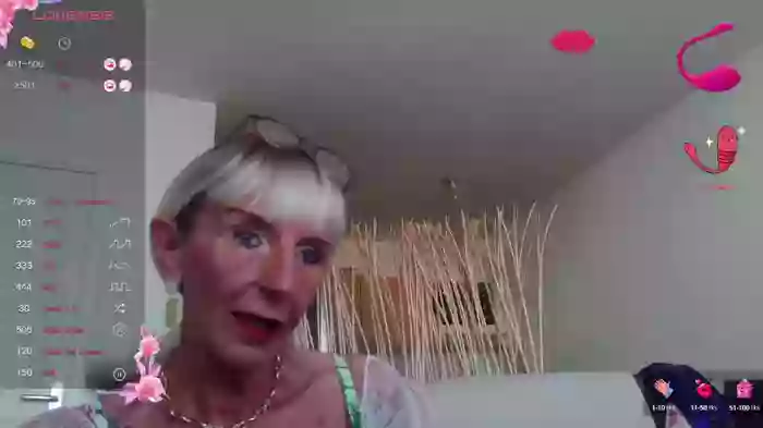 LISACAM2CAM