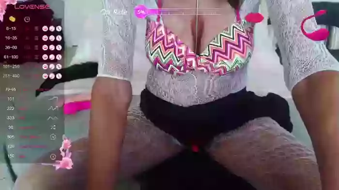 LISACAM2CAM