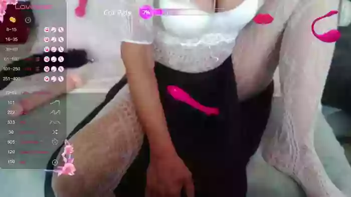 LISACAM2CAM