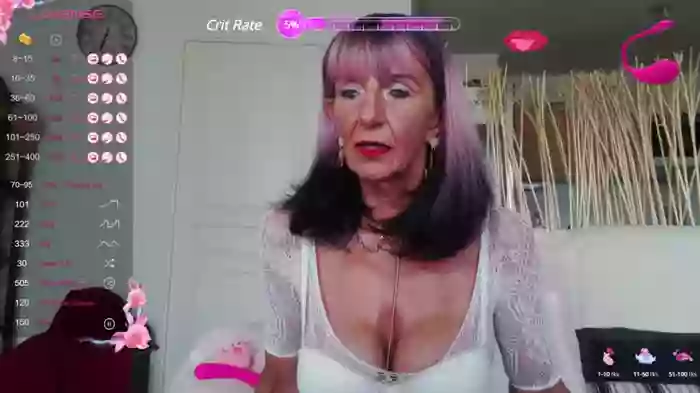 LISACAM2CAM