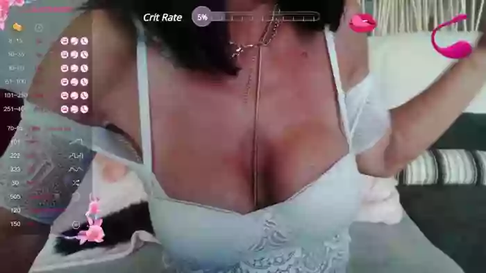LISACAM2CAM