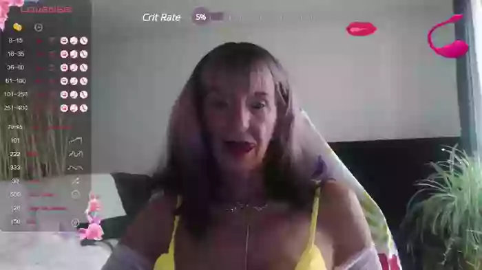 LISACAM2CAM