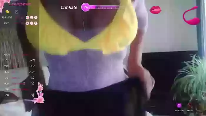 LISACAM2CAM