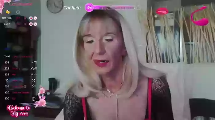 LISACAM2CAM