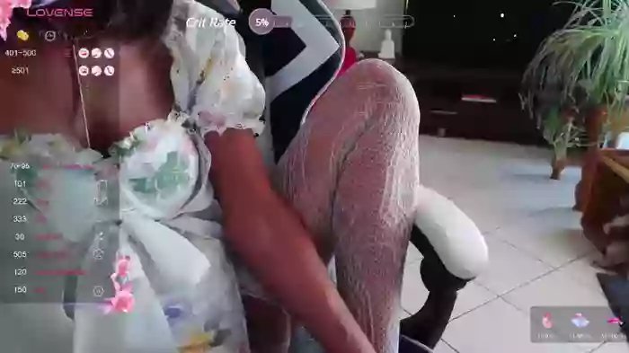 LISACAM2CAM