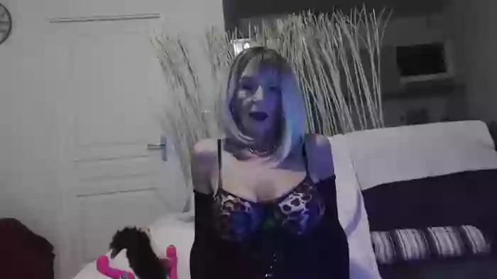 LISACAM2CAM