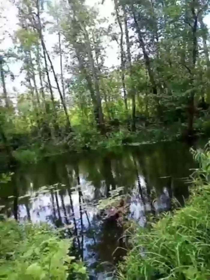 -Pypsiki-