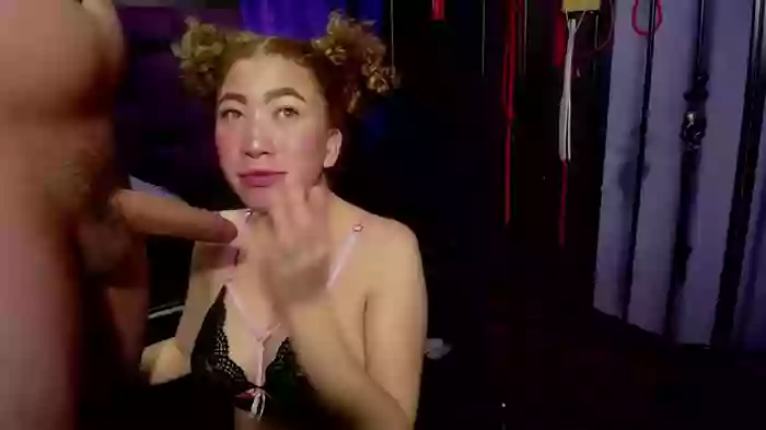 Maddyharry