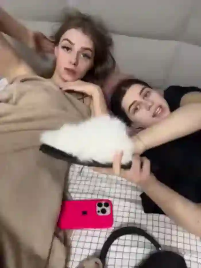 VibroMashulkaDashulka