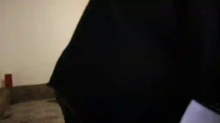 lexylara