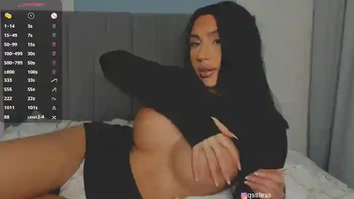 qsstess