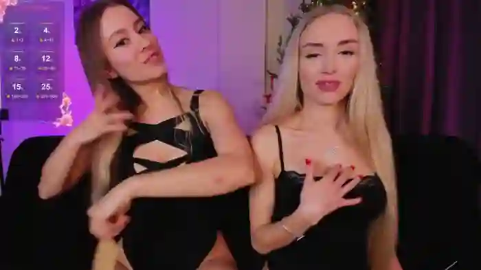 WhoreRobot