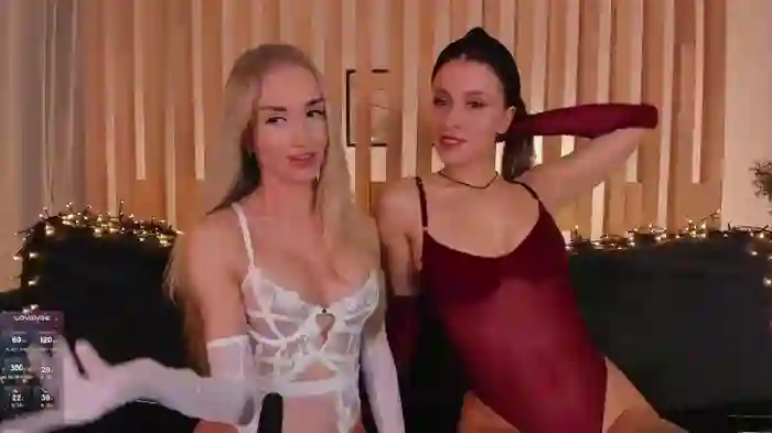WhoreRobot