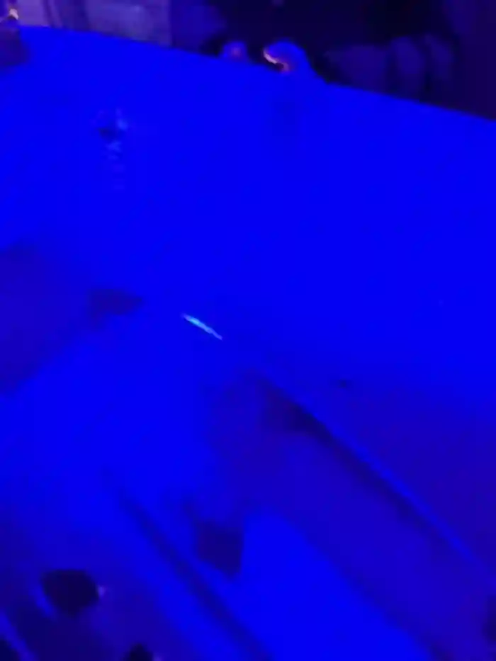 Hotpepper-Sweetpepper