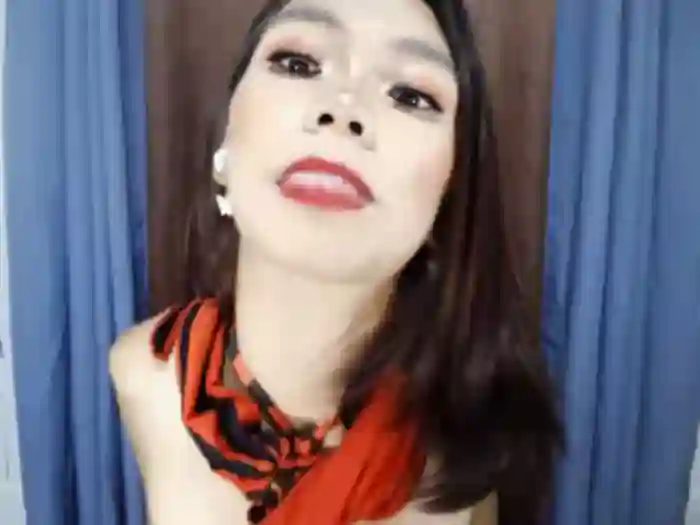 SKINNYasianSLUTs