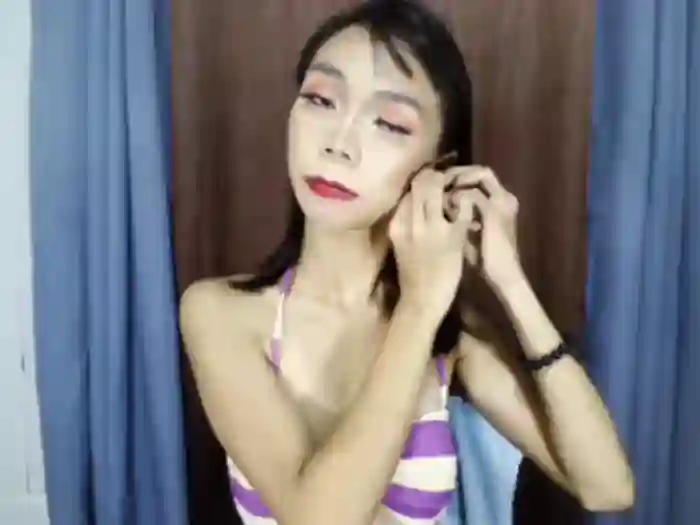 SKINNYasianSLUTs