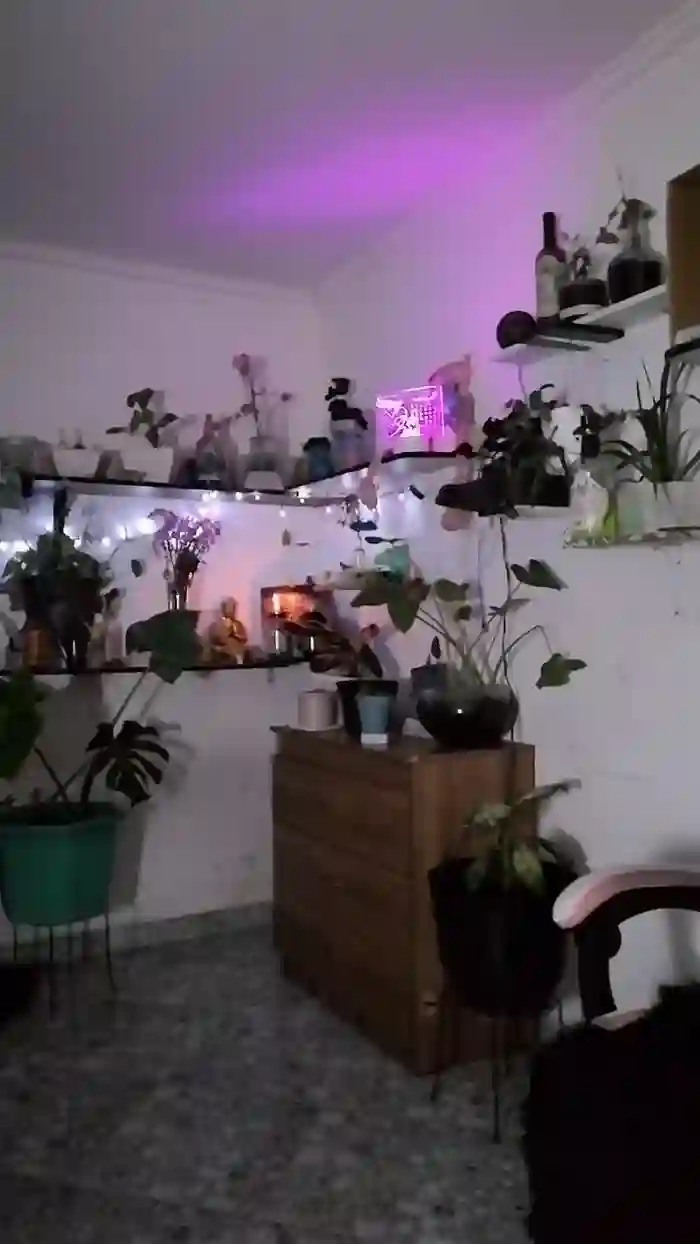 CrazyMom69