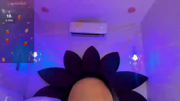 ShagiAmir