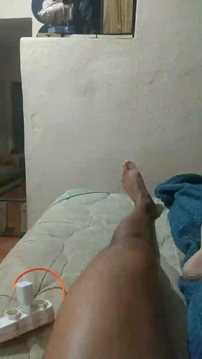 obarbeirodotad2