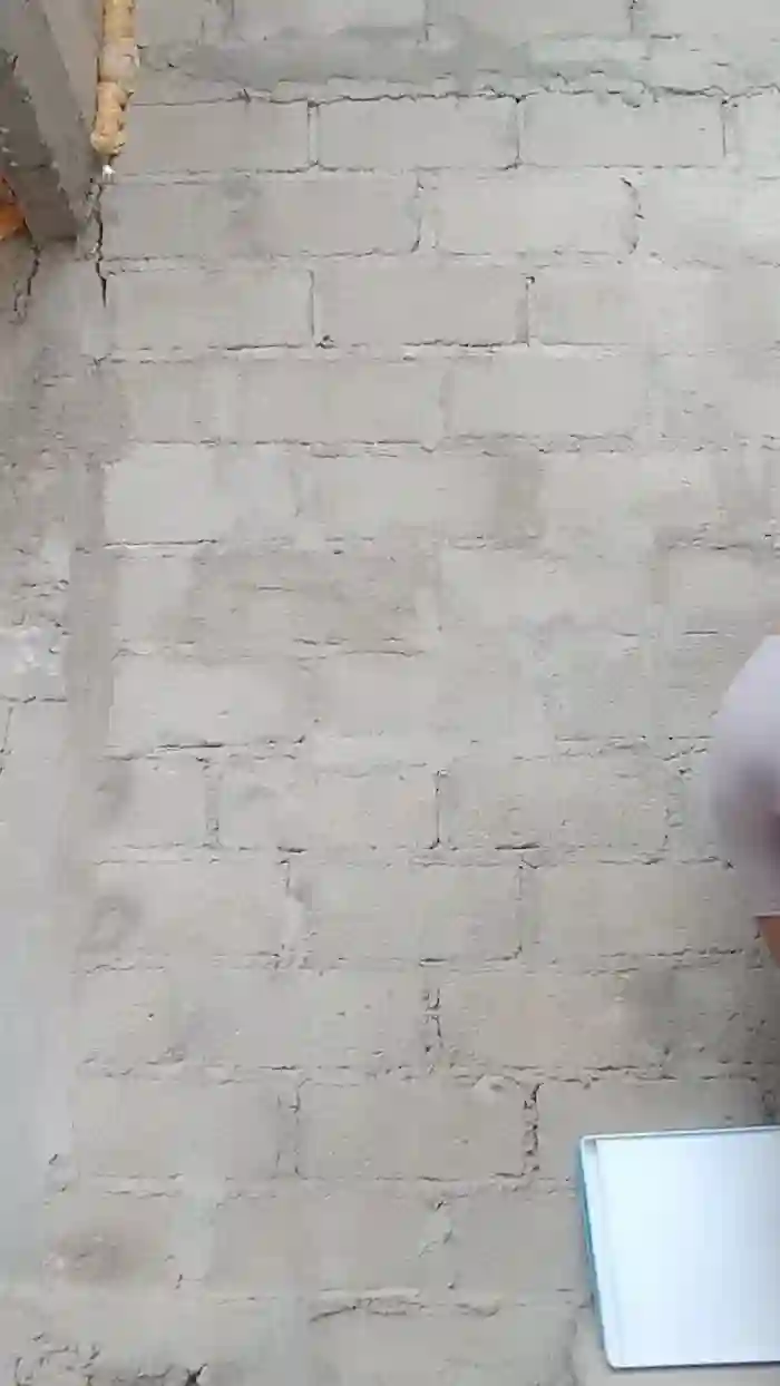 NinphGraceX