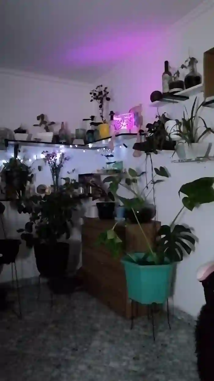 CrazyMom69