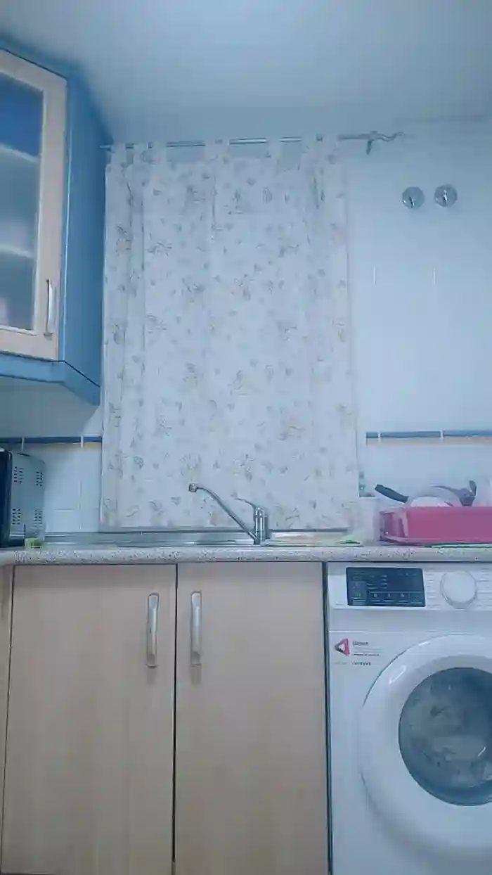 stefycamy