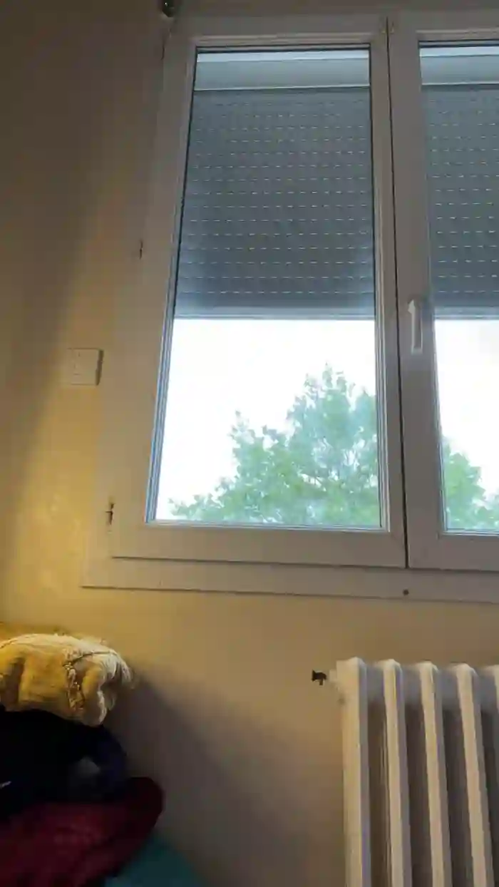 LissaBoob