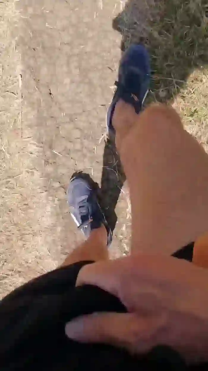 stefan519