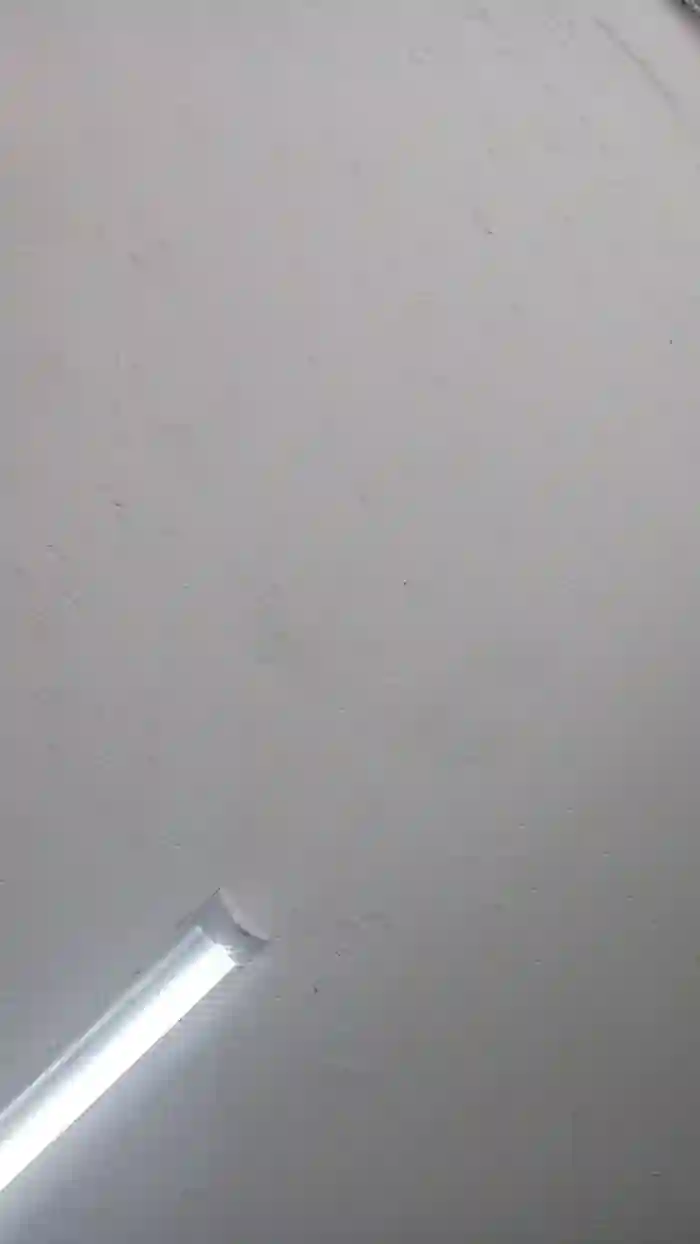 sweet_scarlett_
