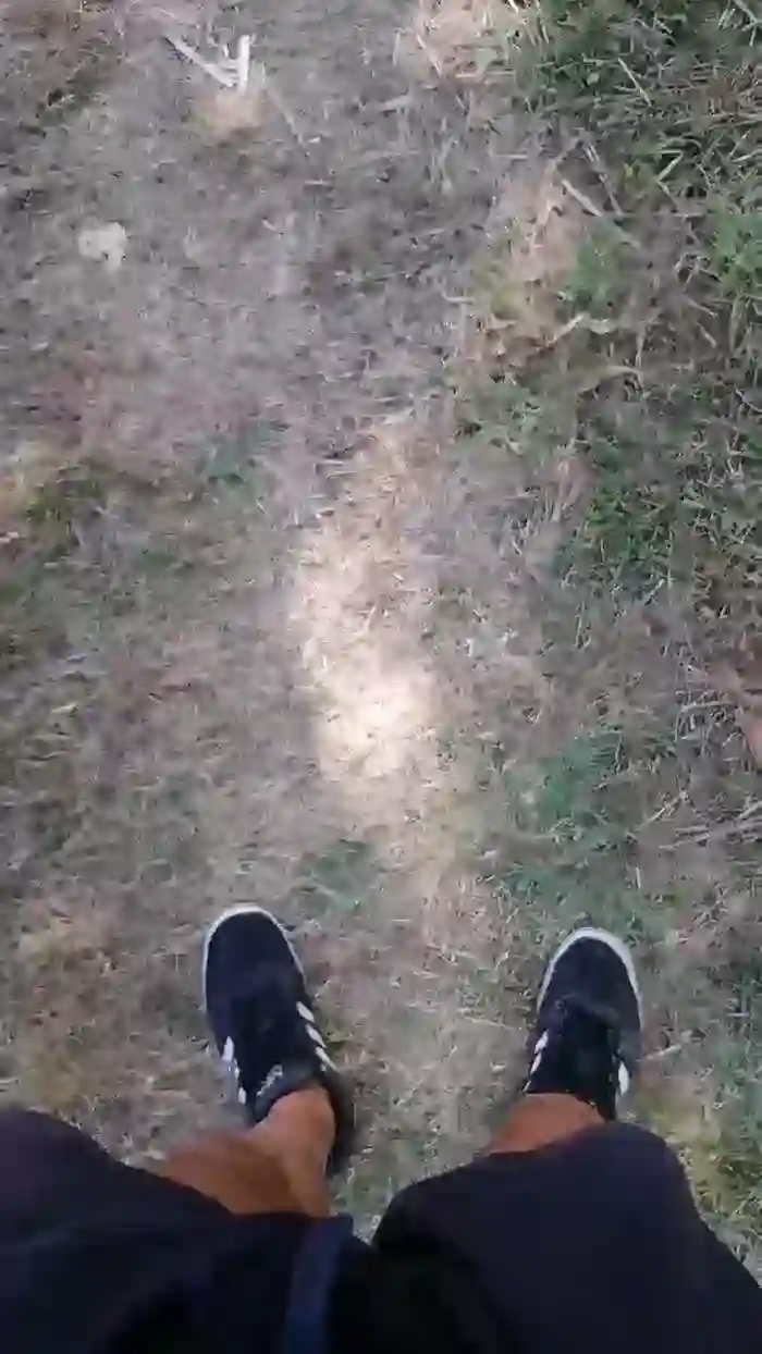 stefan519