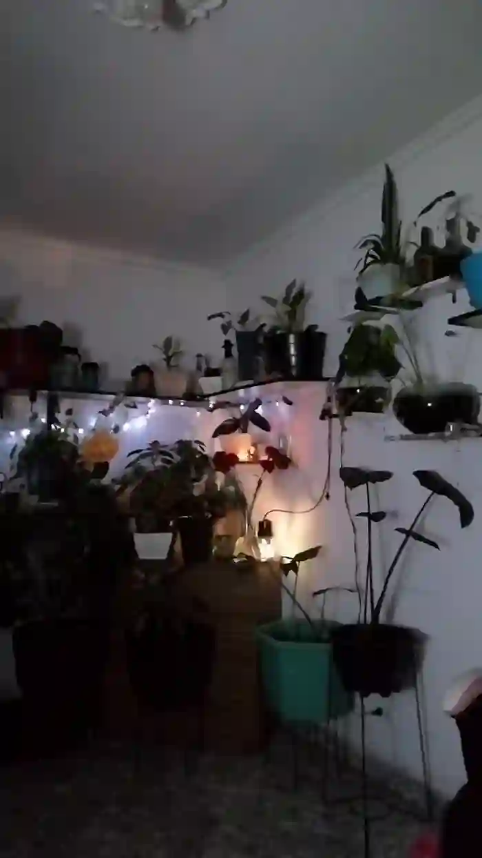 CrazyMom69