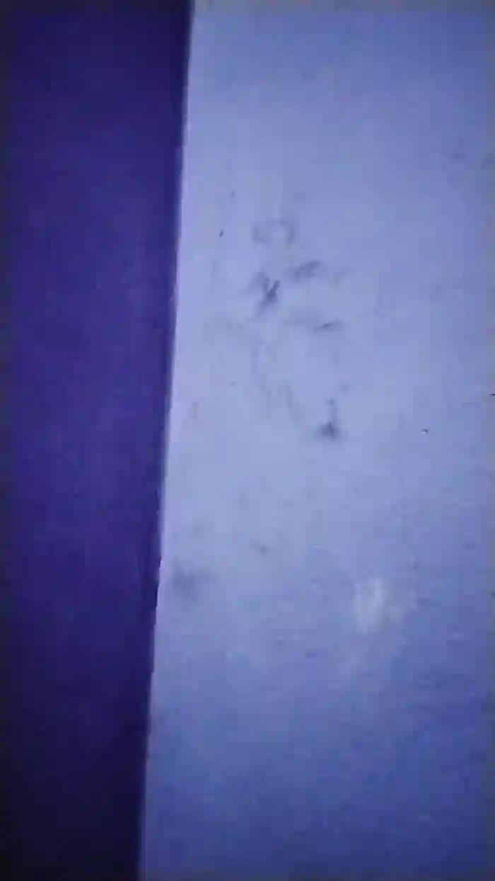calentita38