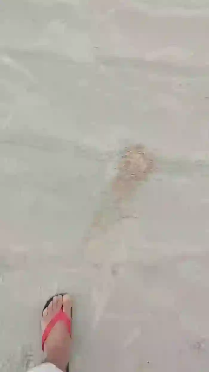 souzakw2