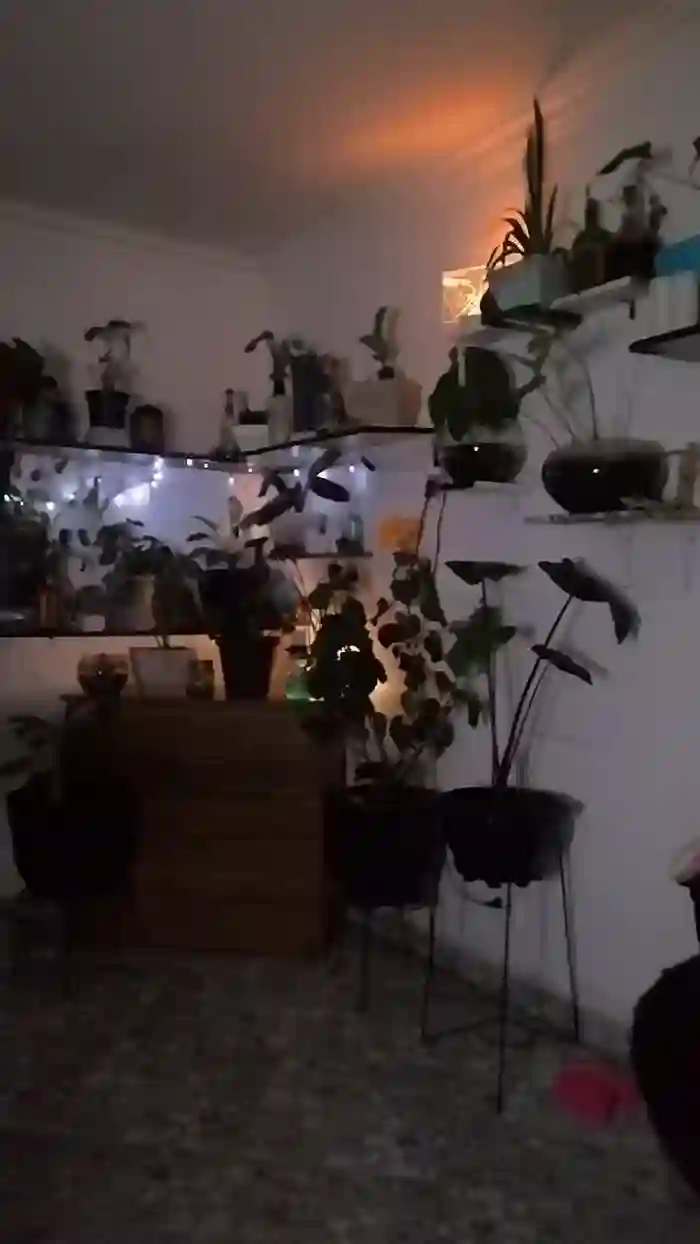 CrazyMom69