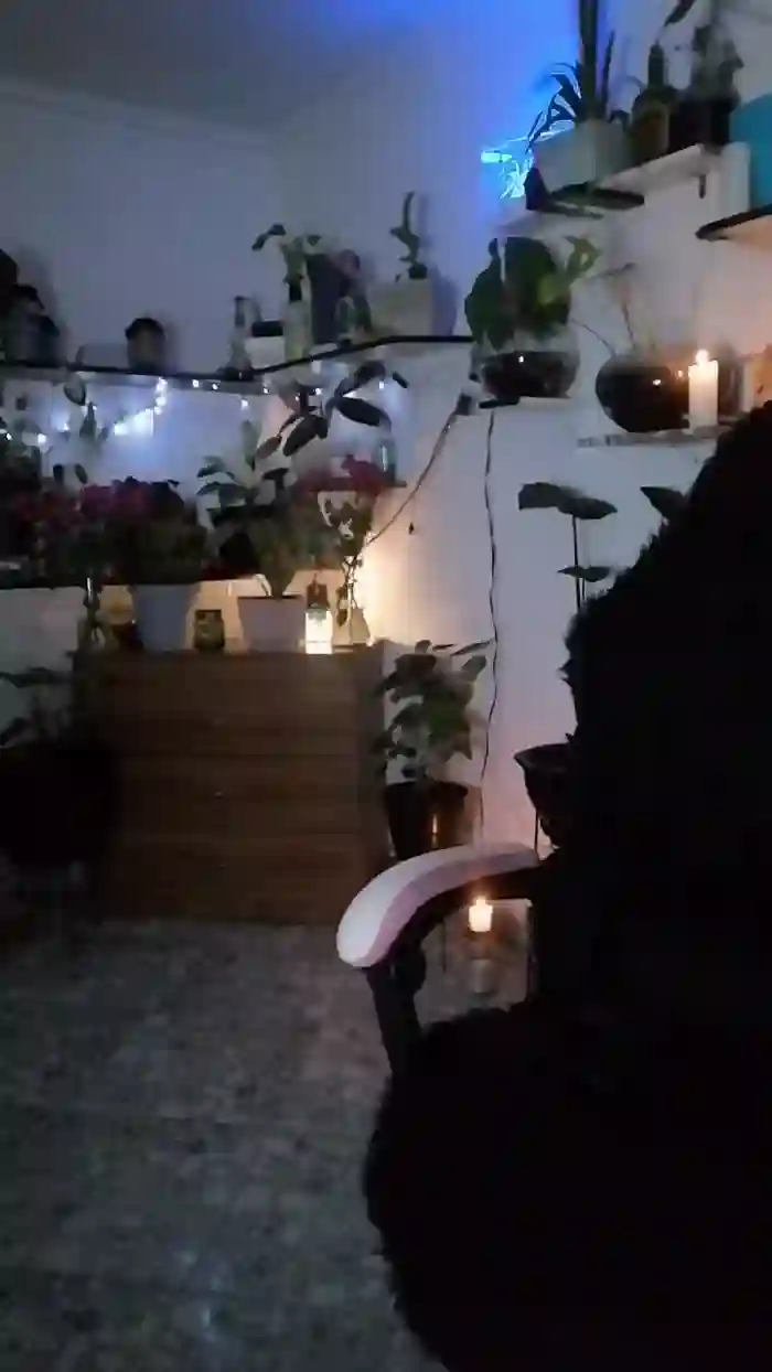 CrazyMom69