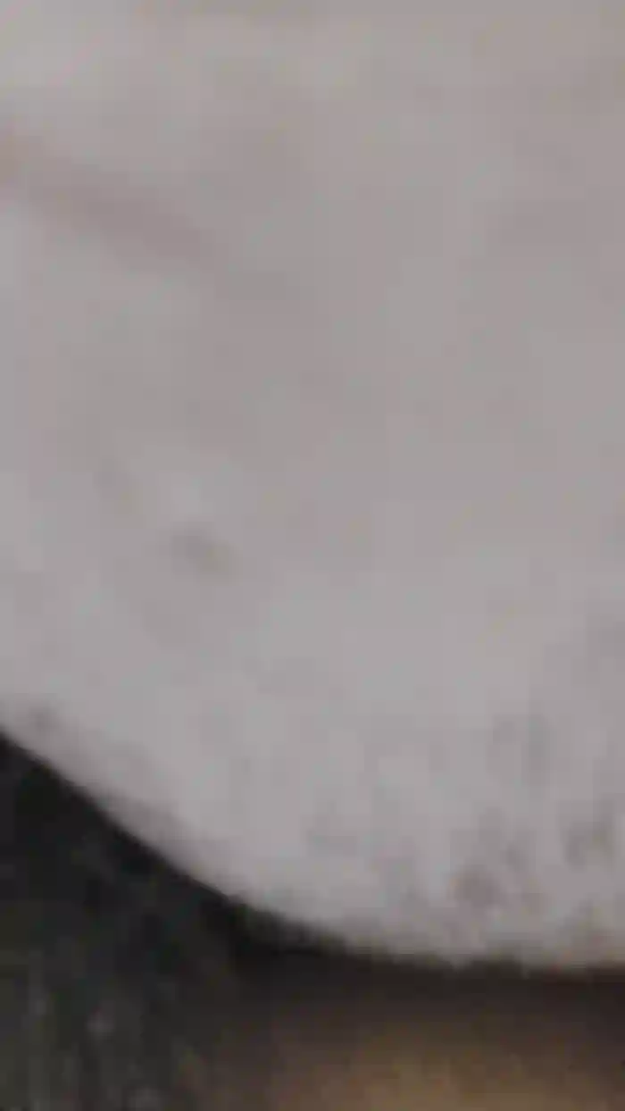 nastyboy88