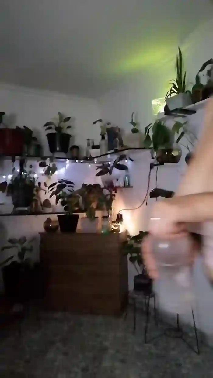 CrazyMom69