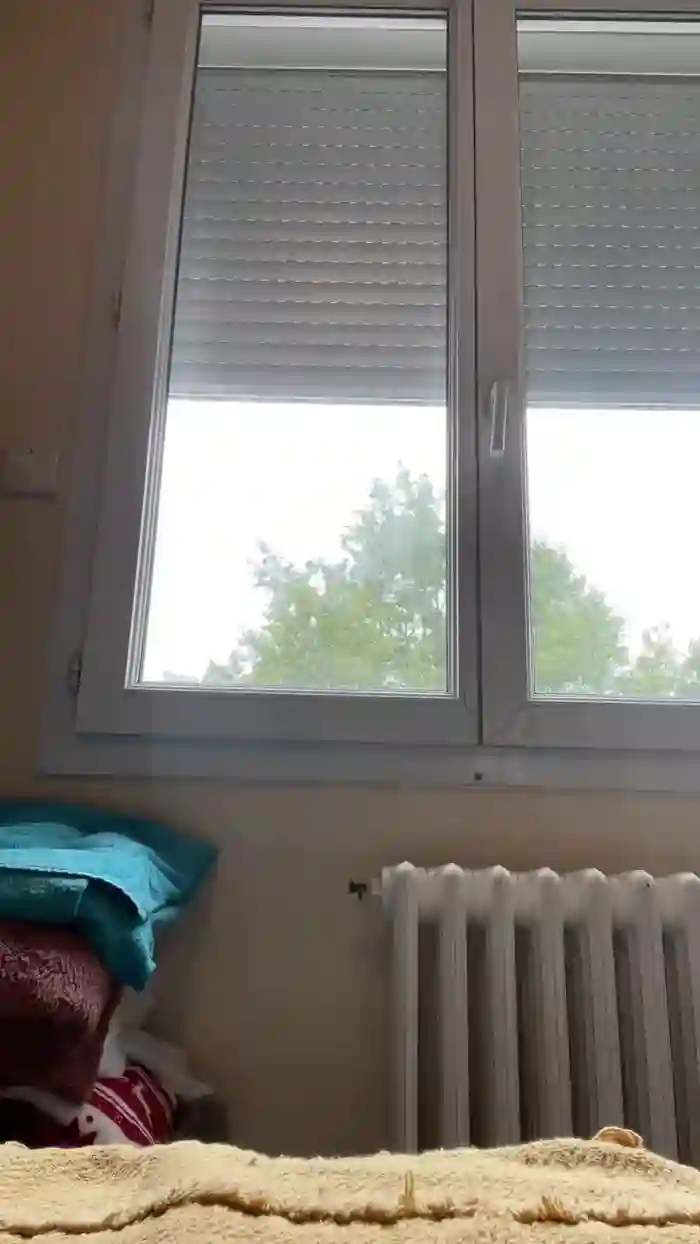 LissaBoob