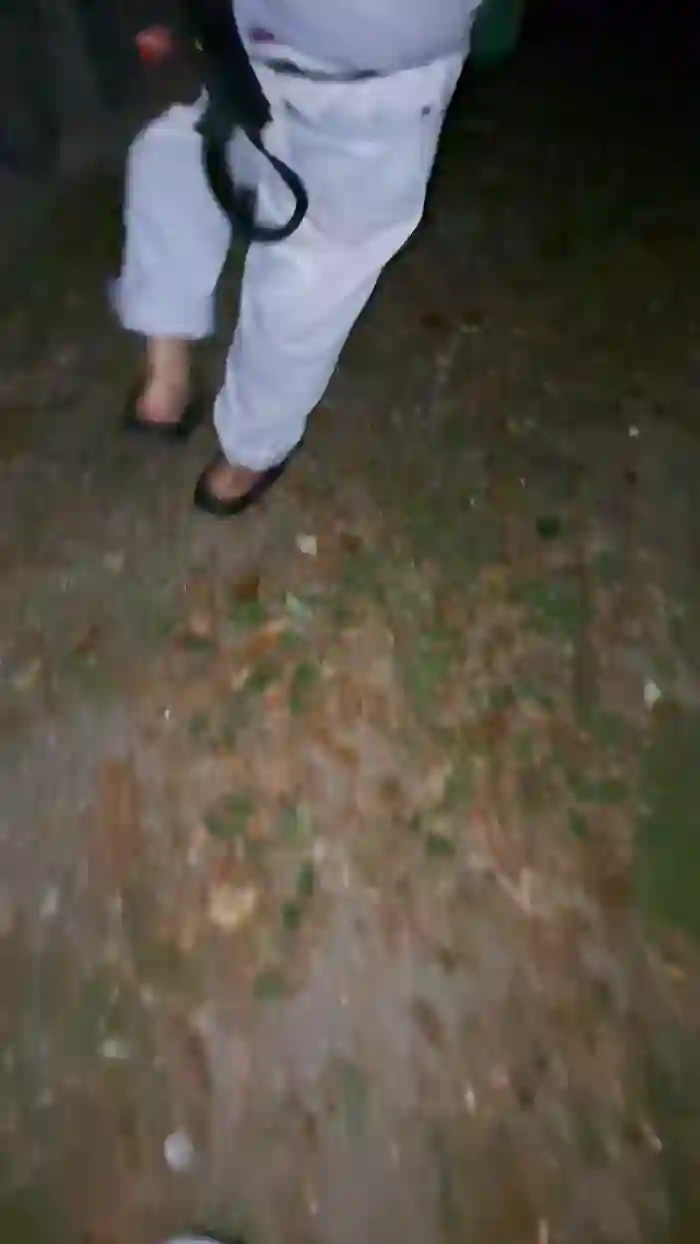 DamianPollonxD