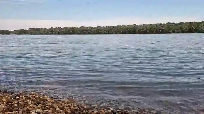 viraglaci18