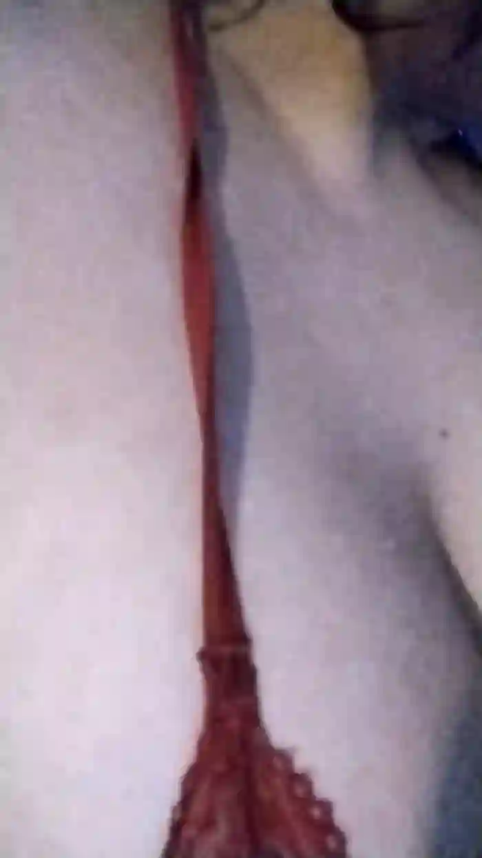 anamariaaran